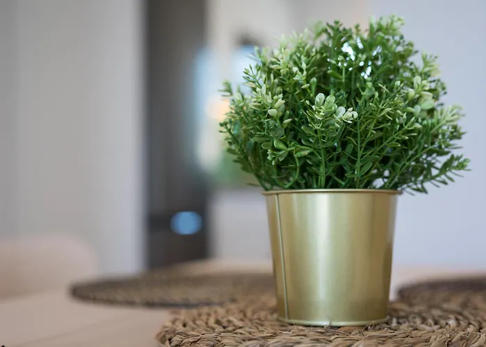 Barca Sunrise * Lajita