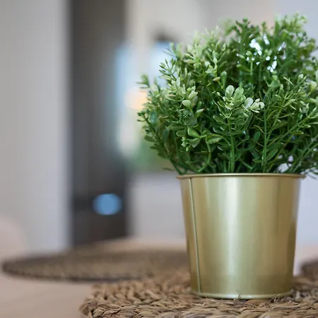 Barca Sunrise * Лахита